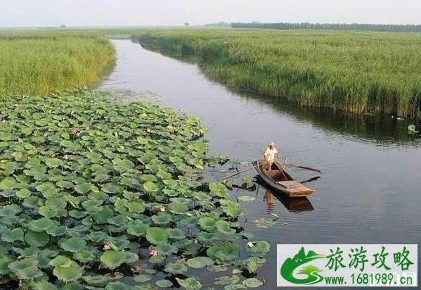 白洋淀景区收费标准多少钱合理吗 白洋淀景区收费标准多少钱合理吗
