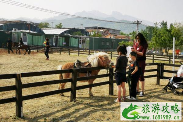 2022北京网红打卡地推荐