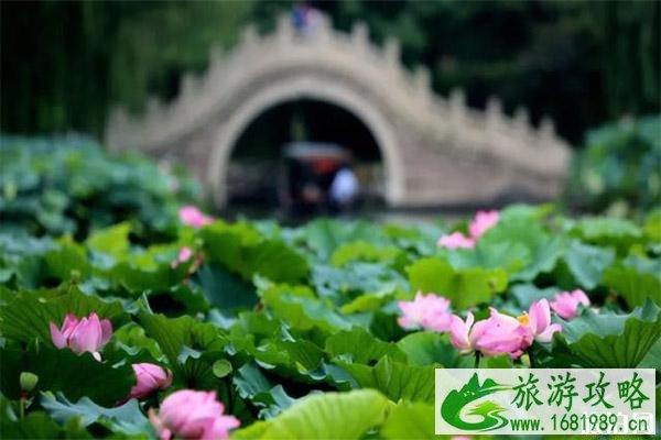 圆明园遗址公园年-月票怎么办理 2022什么时候可以办理
