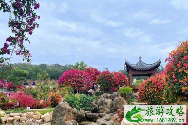 2022广州马岭观花植物园春节开放吗
