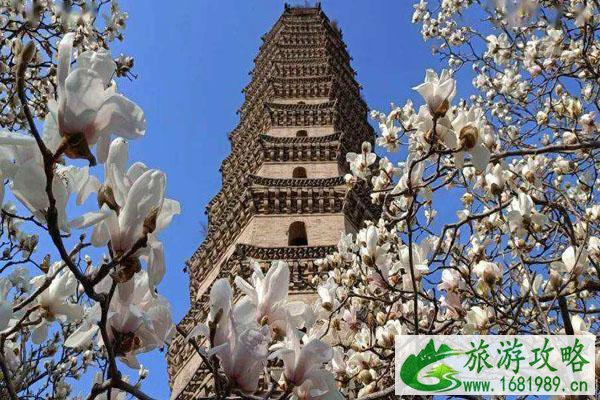 许昌禹州受疫情影响部分场馆关闭情况 许昌禹州受疫情影响部分场馆关闭情况