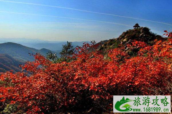 受疫情影响禹州大鸿寨景区1月3日起暂停对外开放 受疫情影响禹州大鸿寨景区1月3日起暂停对外开放