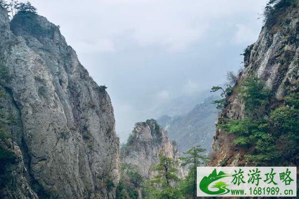  老君山门票免费怎么预约2022