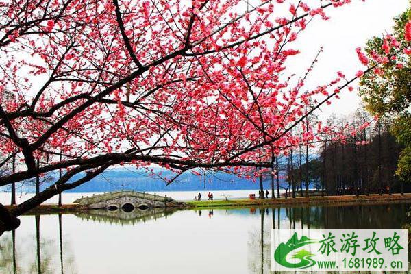 2022东湖梅园门票多少钱一张