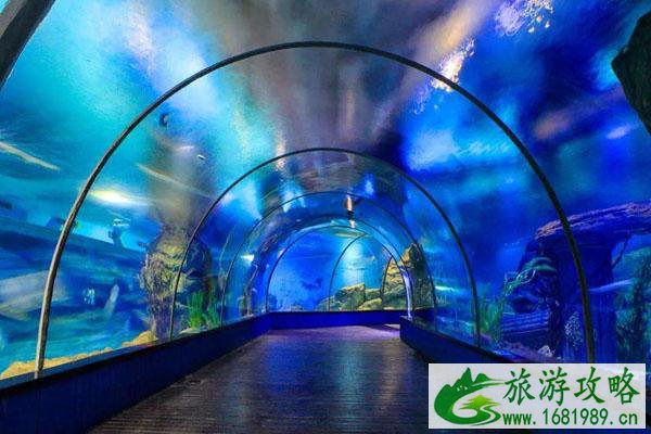 石家庄动物园极地海洋世界即将在2022年1月1日正式开放