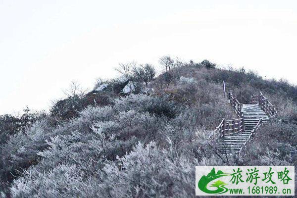 2021大围山国家森林公园自12月26日起临时闭园通知 2021大围山国家森林公园自12月26日起临时闭园通知