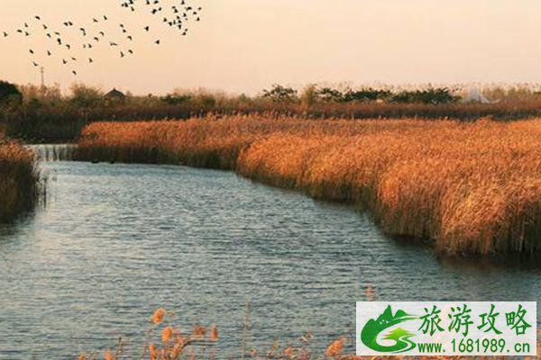 2021泗洪洪泽湖湿地加强疫情防控通知