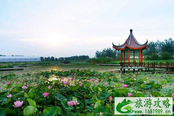 2021泗洪洪泽湖湿地加强疫情防控通知