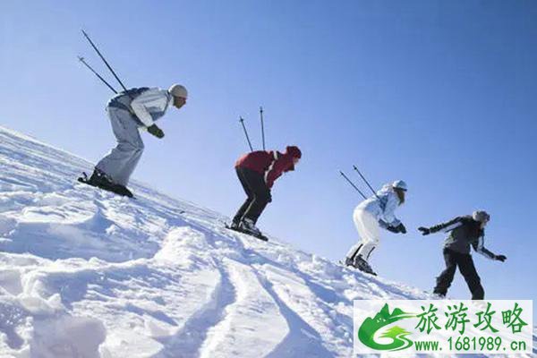 秦皇岛紫云山滑雪夜场等多家景区冬季项目开放