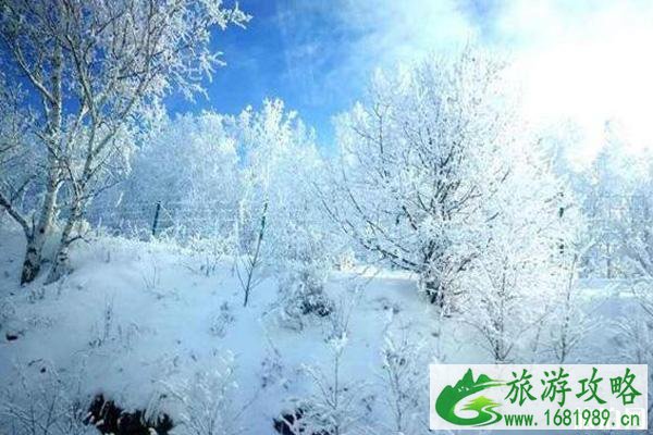 阿尔山冬天穿衣怎么穿 阿尔山冬天怎么去