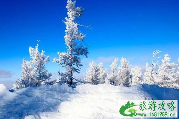 阿尔山冬天穿衣怎么穿 阿尔山冬天怎么去