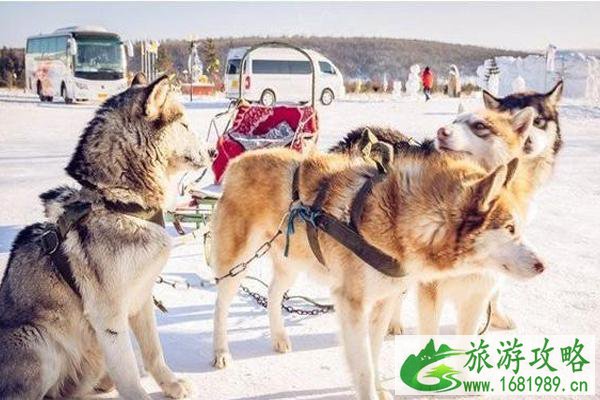 呼伦贝尔冬天小众旅游景点推荐 冬天去呼伦贝尔需要准备什么东西