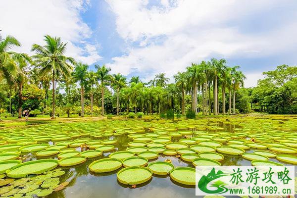 冬天去哪儿旅游暖和国内推荐 冬天去哪儿旅游暖和国内推荐