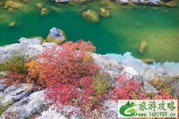 受疫情影响12月17日起郑国渠景区暂时闭园