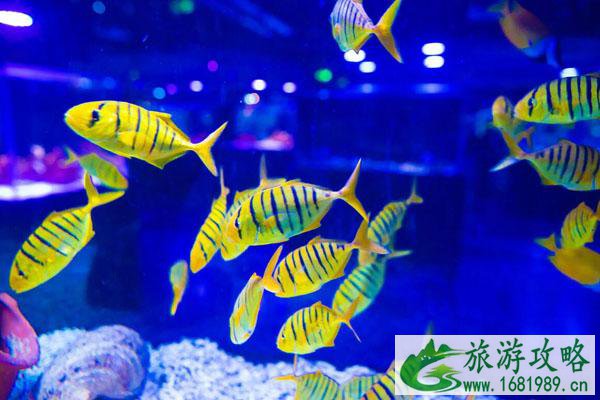 2022天津适合亲子游的地方 亲子游景点推荐
