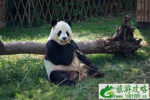 2022天津适合亲子游的地方 亲子游景点推荐