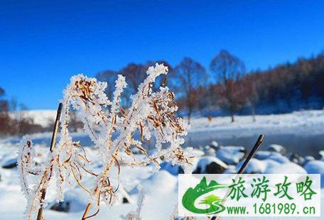 阿尔山有什么好玩的 冬天去阿尔山玩什么 阿尔山有什么好玩的 冬天去阿尔山玩什么