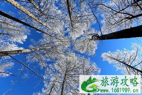 阿尔山有什么好玩的 冬天去阿尔山玩什么 阿尔山有什么好玩的 冬天去阿尔山玩什么