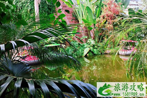 受疫情影响天津热带植物观光园12月22日起暂停对外开放 受疫情影响天津热带植物观光园12月22日起暂停对外开放