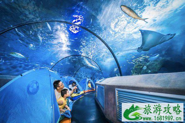 南京跨年去哪里比较好2022