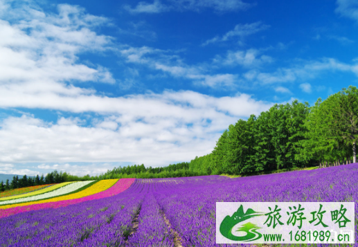 北海道几月去最好 日本北海道冬天穿什么 北海道几月去最好 日本北海道冬天穿什么