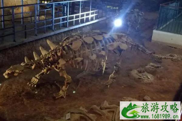 2021汝阳恐龙地质公园门票优惠政策 2021汝阳恐龙地质公园门票优惠政策