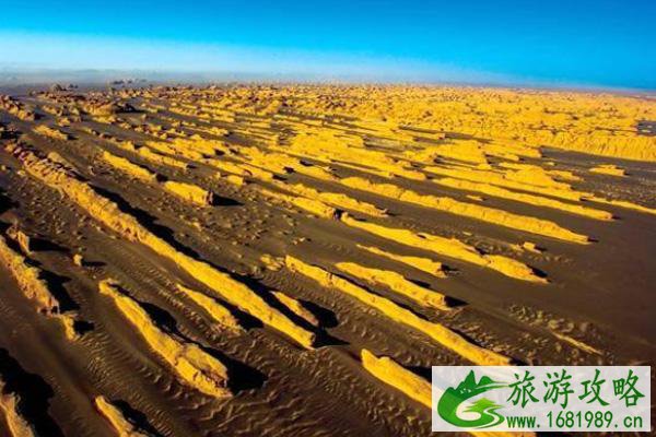 11月25日起敦煌各景区恢复对外开放公告 景区实行限流
