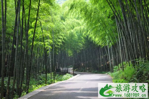 宜兴竹海风景区亲子游一日游路线推荐