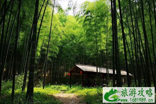 宜兴竹海风景区亲子游一日游路线推荐