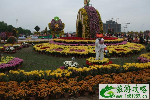 2021中山小榄菊花展开始时间+门票价格