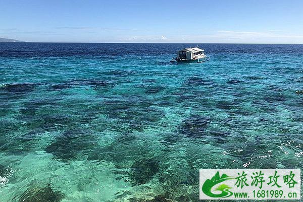 11月20日起菲律宾放宽低中风险国家和地区完全接种疫苗入境旅客检测隔离要求