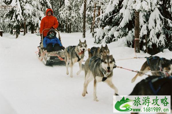 冬季去芬兰旅游的优势 这些冬天必打卡的景点值得看看
