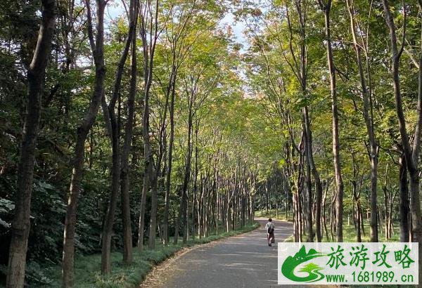 2021受疫情影响宜兴龙背山森林公园暂时闭园