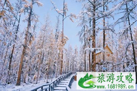 冬天看雪去哪里比较好 冬季赏雪胜地 冬天看雪去哪里比较好 冬季赏雪胜地
