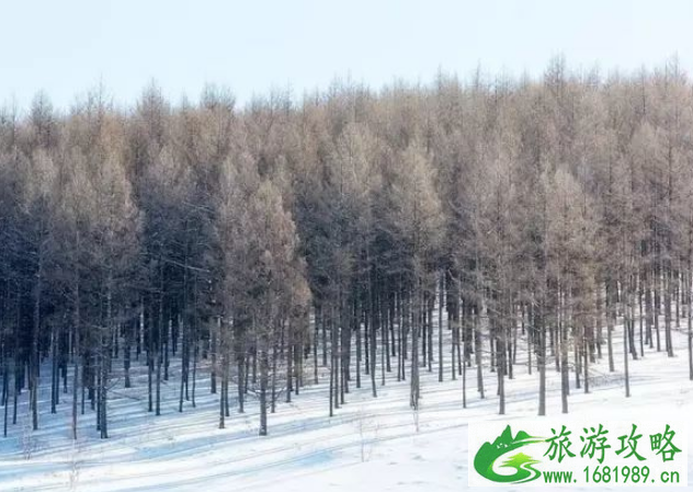 冬天看雪去哪里比较好 冬季赏雪胜地 冬天看雪去哪里比较好 冬季赏雪胜地