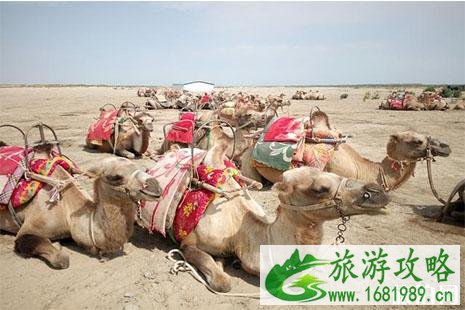 冬季旅游喀什最新优惠 冬季旅游喀什最新优惠