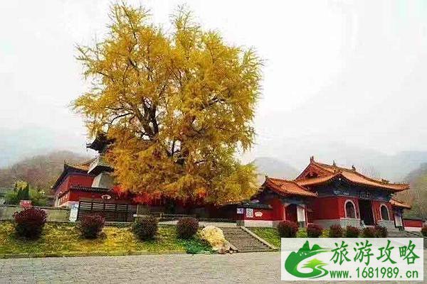 禹州大鸿寨好玩吗 禹州大鸿寨景点推荐 禹州大鸿寨好玩吗 禹州大鸿寨景点推荐