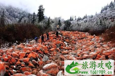 毕棚沟冬季旅游攻略 毕棚沟冬季旅游攻略