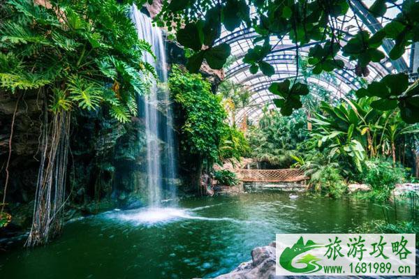 2021天津热带植物观光园门票价格及优惠政策 2021天津热带植物观光园门票价格及优惠政策
