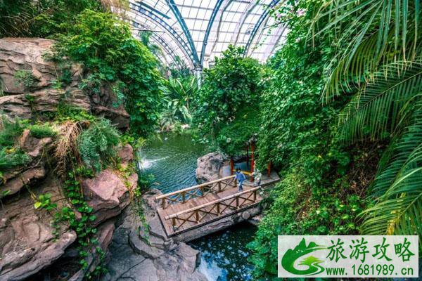 2021天津热带植物观光园门票价格及优惠政策 2021天津热带植物观光园门票价格及优惠政策