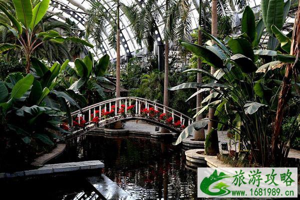 2021天津热带植物观光园门票价格及优惠政策 2021天津热带植物观光园门票价格及优惠政策