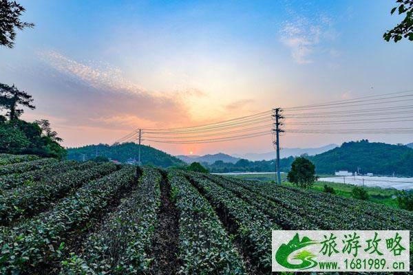 天目湖附近还有什么景区推荐