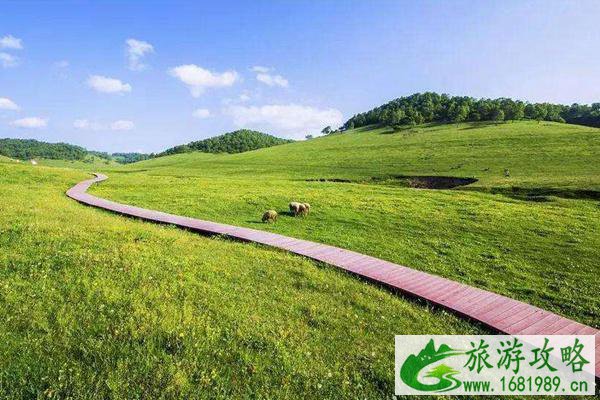 关山草原景区门票信息 关山草原冬季闭园持续时间 关山草原景区门票信息 关山草原冬季闭园持续时间