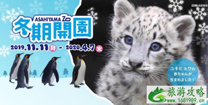 2021-2022旭川动物园冬季开园时间一览 2021-2022旭川动物园冬季开园时间一览