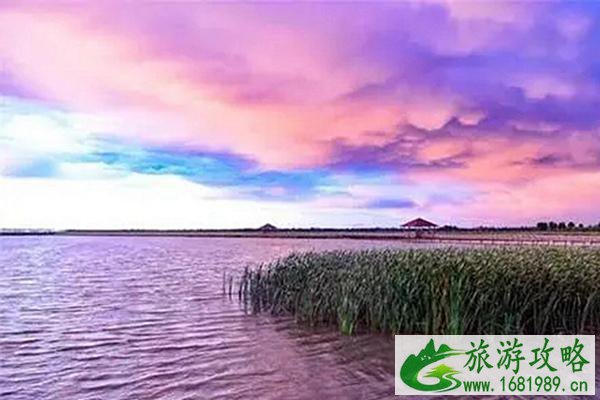 2021年12月10日起麦积山景区将重新开放