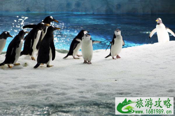 天津主题公园有哪些推荐