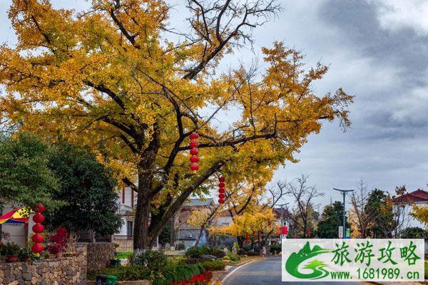 2021长兴八都岕景区在哪里