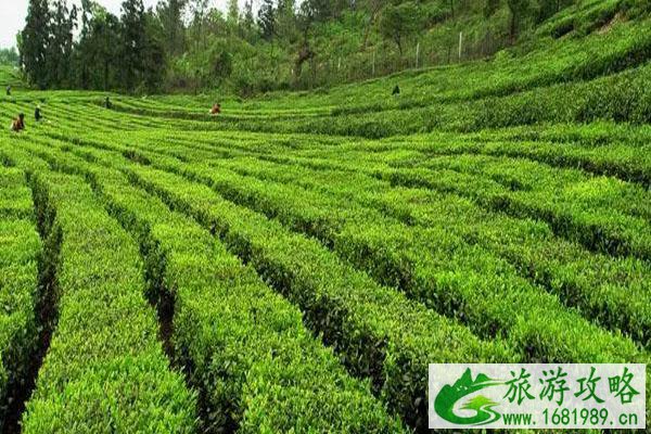 无锡斗山有什么好玩的地方