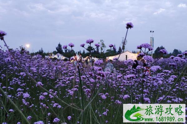 闽江河口湿地公园开放时间及门票