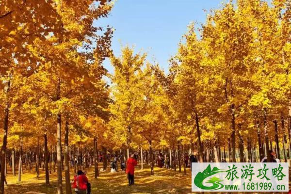 广东赏秋最好去处 广东适合秋游的地方 广东赏秋最好去处 广东适合秋游的地方